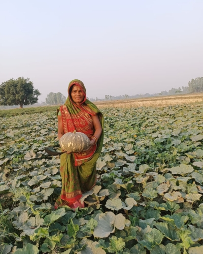 Farmer holding a pumpkin grown with Uchit